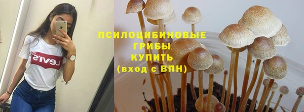 2c-b Абинск