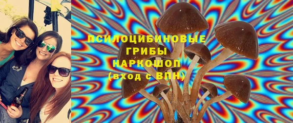2c-b Абдулино