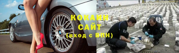 стаф Алексин