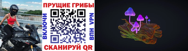 Галлюциногенные грибы ЛСД  наркотики  Шарья 